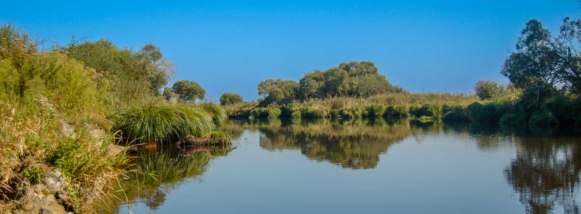 camping tourisme canal-parc-regional naturel de la briere