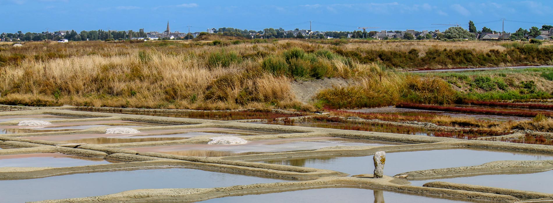 camping tourisme marais salants loire atlantique