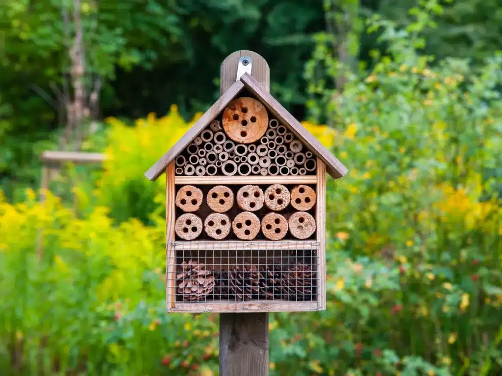 camping engagements ecologiques hotel a insectes